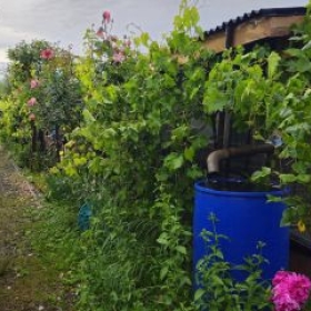 Hauptweg 2026-06-02 19.28.